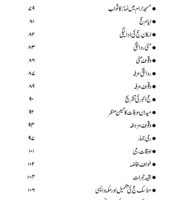 ایک بے مایہ کا سفر حج_Page_005