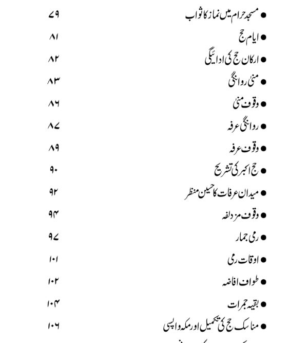 ایک بے مایہ کا سفر حج_Page_005