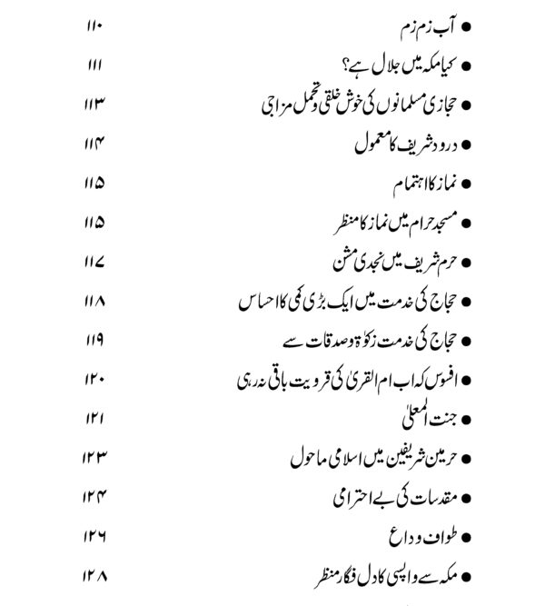 ایک بے مایہ کا سفر حج_Page_006